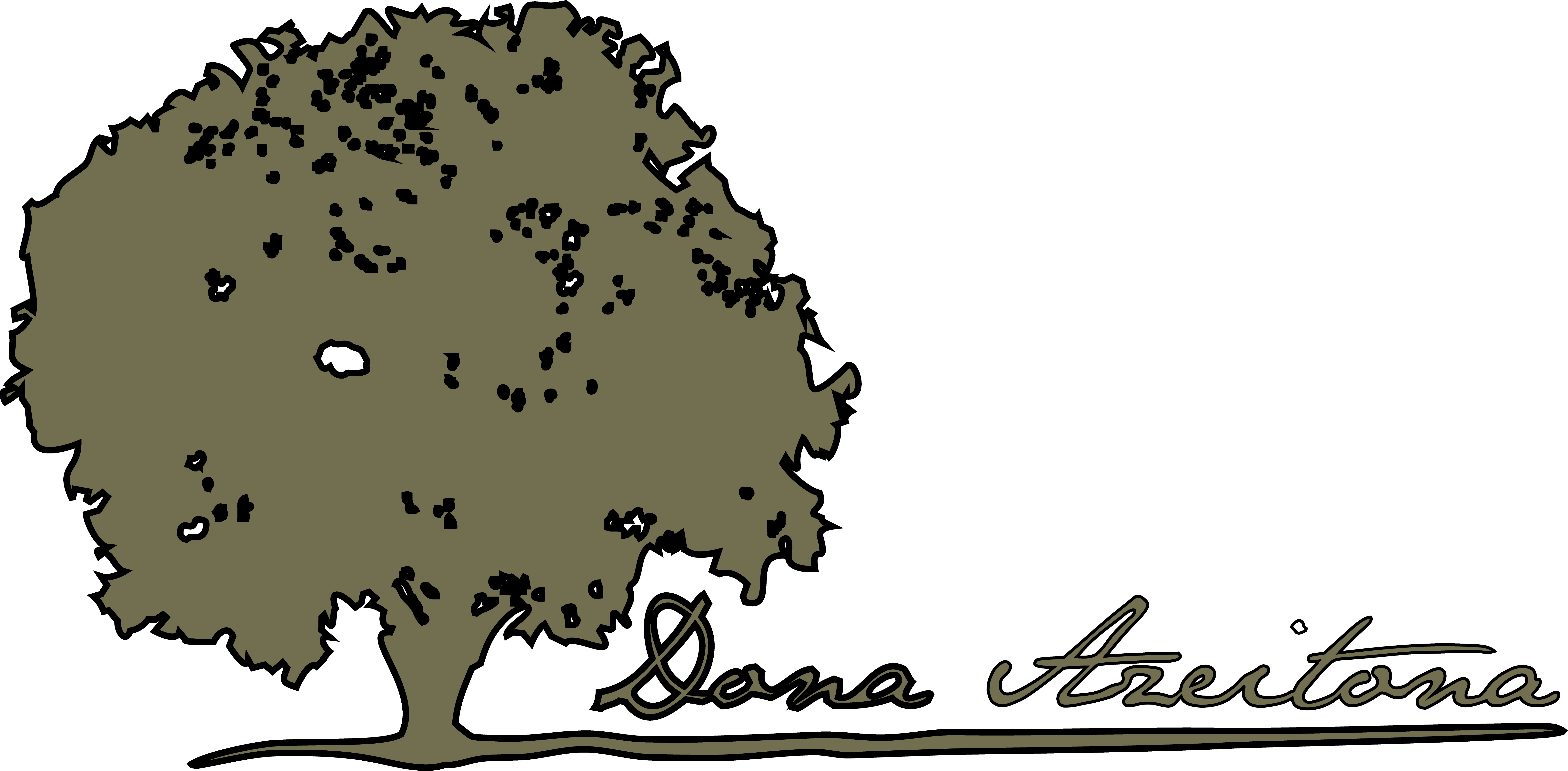 Restaurante Dona Azeitona